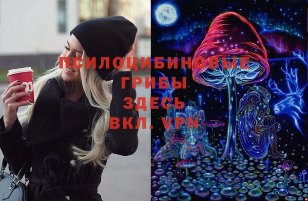 МДПВ Вязники